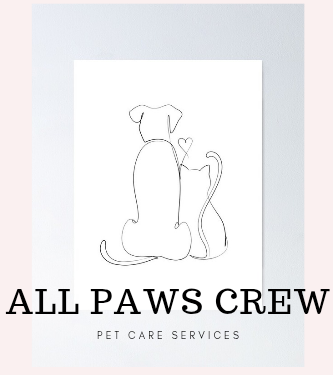 All Paws Crew